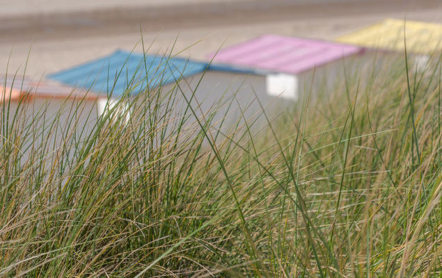 High in the sky - Photo 8