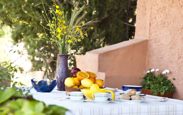 El Cerrillo - Cerro Negro - Photo 6
