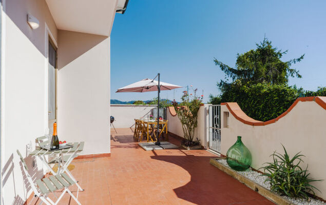 Sunflower piano terra - Photo 10