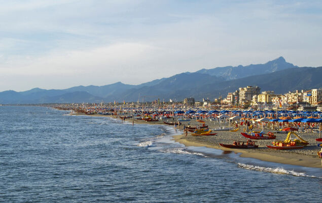 Sunflower piano terra - Photo 29