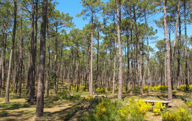 Jade et Elena - Photo 28