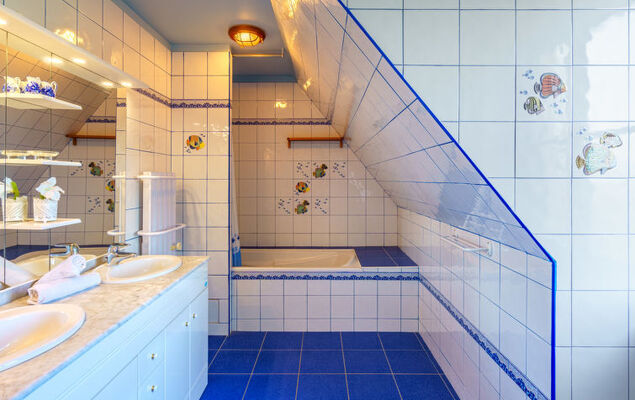 La mouette bleue - Photo 20