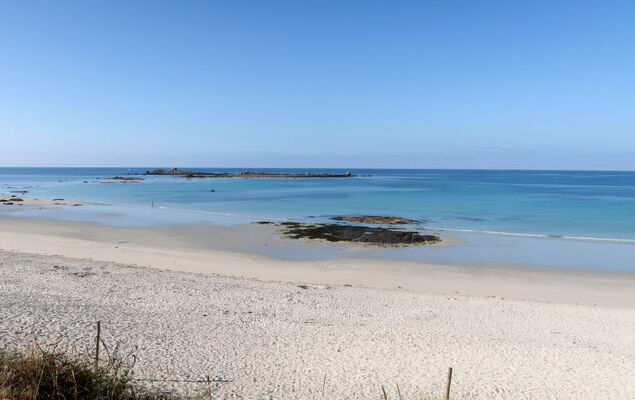 La mouette bleue - Photo 25