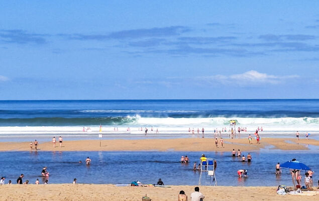 Domaine de Peyroutic - Photo 30