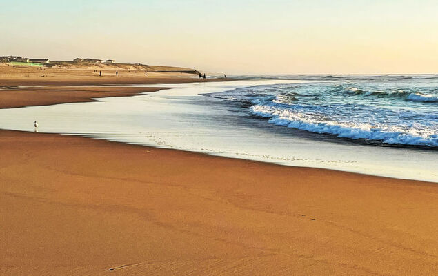 Domaine de Peyroutic - Photo 35